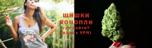 молекула духа Волосово
