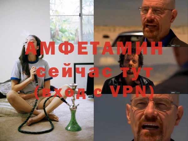 крисы Надым