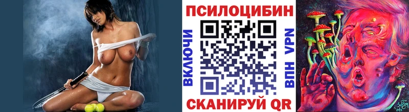 ссылка на мегу ссылки  Вышний Волочёк  Псилоцибиновые грибы GOLDEN TEACHER 